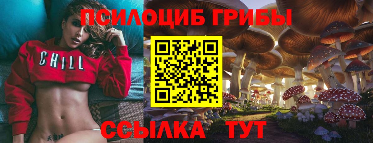 Галлюциногенные грибы MAGIC MUSHROOMS Знаменск