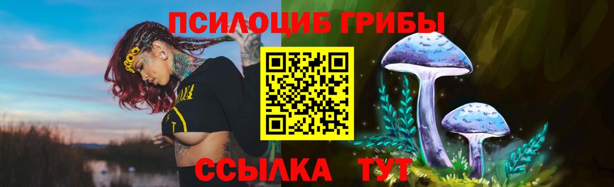 Галлюциногенные грибы прущие грибы  Вход с VPN  Знаменск 